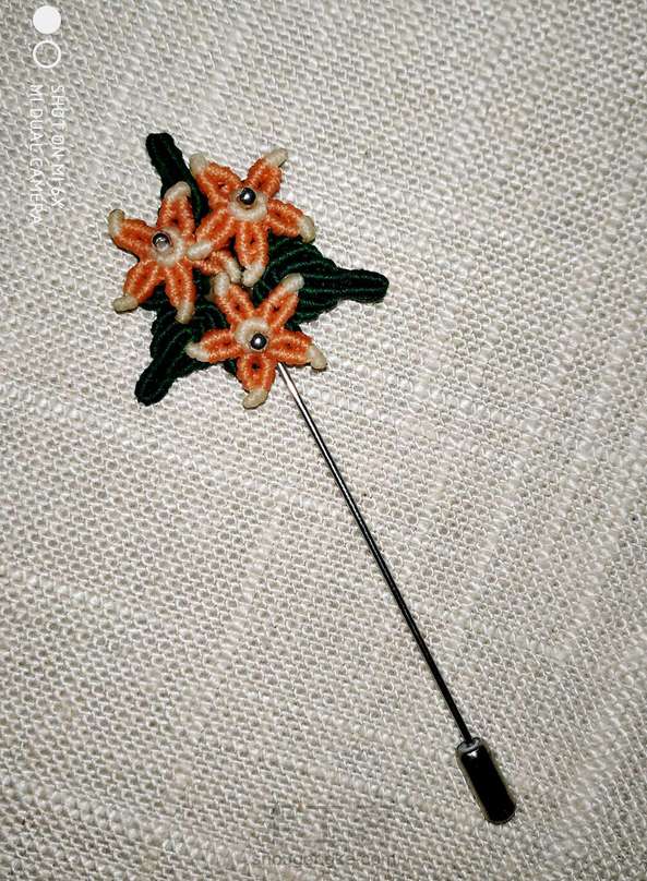 交个作业，感谢教程！