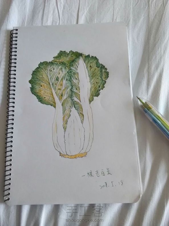 虽然不是彩铅，是彩色圆珠笔。被这只笔的颜色折磨的生生画成了一颗老白菜。谢谢老师的教程