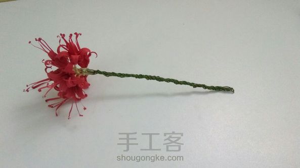 哈哈彼岸花挺漂亮吧:: ೖ(⑅σ̑ᴗσ̑)ೖ :: 第3张