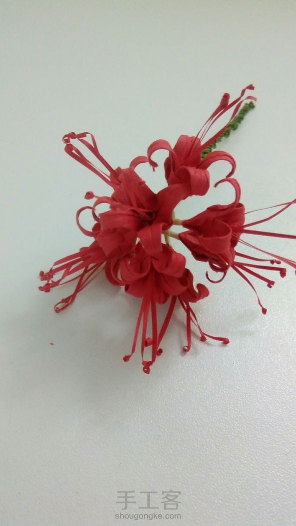 哈哈彼岸花挺漂亮吧:: ೖ(⑅σ̑ᴗσ̑)ೖ :: 第4张