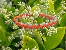 谢谢教程！简简单单很漂亮！