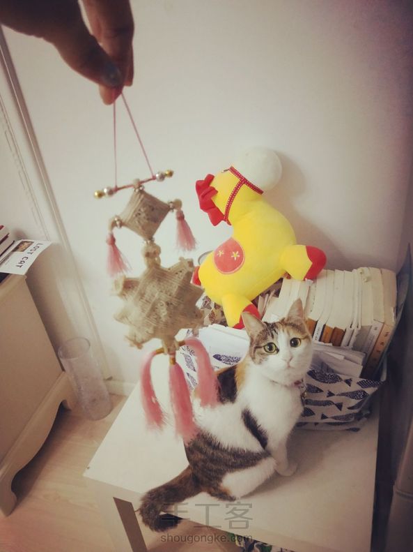 哈哈哈，猫咪喜欢，感谢教程