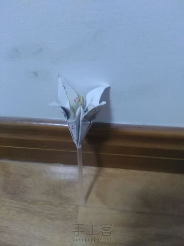 自我感觉良好😁😁 第1张