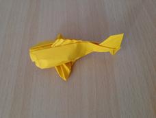 找了两个教程，一个看不清看另一个🙃😳眼睛没折好😭