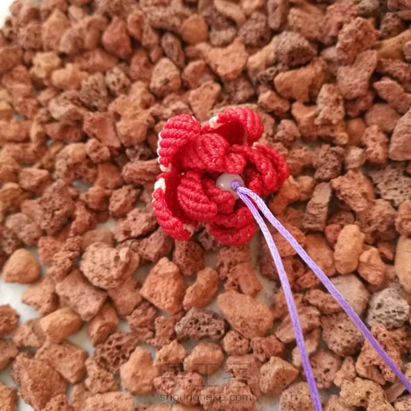 花瓣数量不同，偷懒了，哈哈！ 第3张