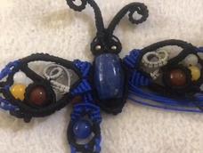 这蝴蝶有点大啊😄