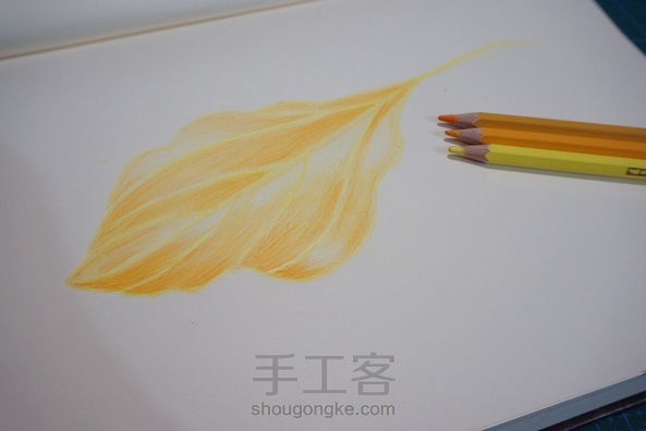 完成作业 ✌️，谢谢老师的教程 我是零基础学员