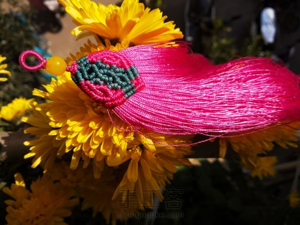 一朝秋暮露成霜，冷暖是你 第2张