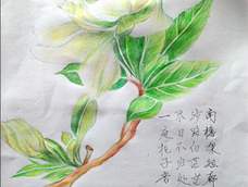 栀子花开呀开……