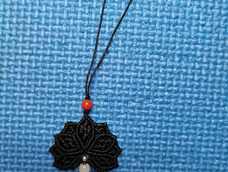 谢谢老师的教程。