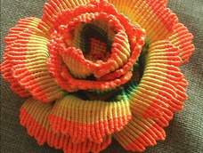 四层花瓣，美得不要不要的