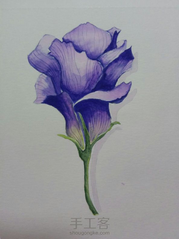马利固彩混合紫色和蓝色后  紫色就下沉了😭😭   准备换颜料了  第三幅临摹图了  感谢茅夫人😘