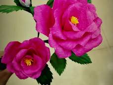 做出来非常漂亮 (/^▽^)/