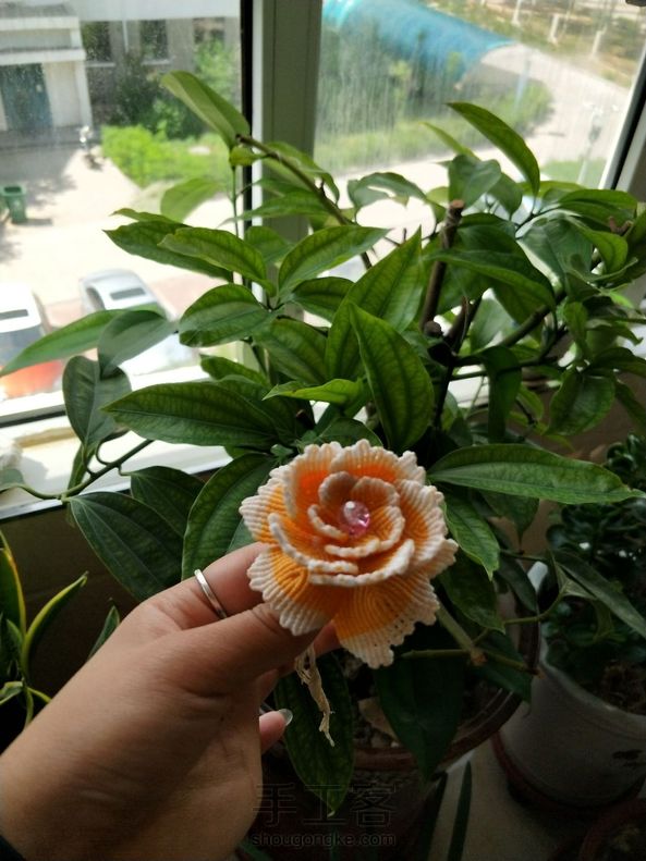 牡丹花…………
还是半成品，不知该做成车挂还是摆饰，大家帮我出出主意喽 第1张