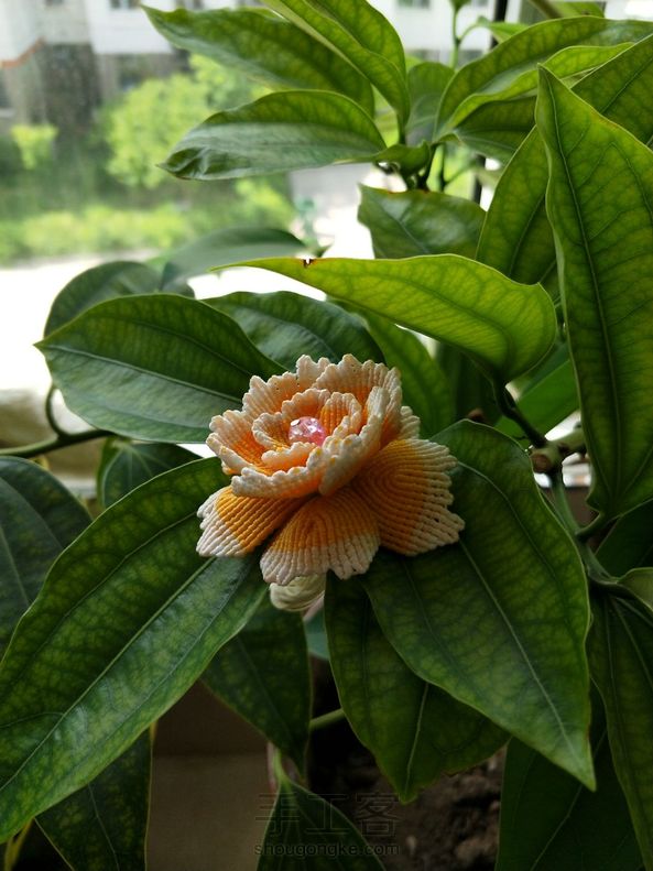 牡丹花…………
还是半成品，不知该做成车挂还是摆饰，大家帮我出出主意喽 第2张