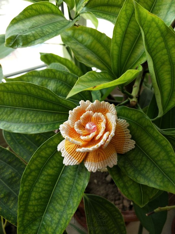 牡丹花…………
还是半成品，不知该做成车挂还是摆饰，大家帮我出出主意喽 第3张