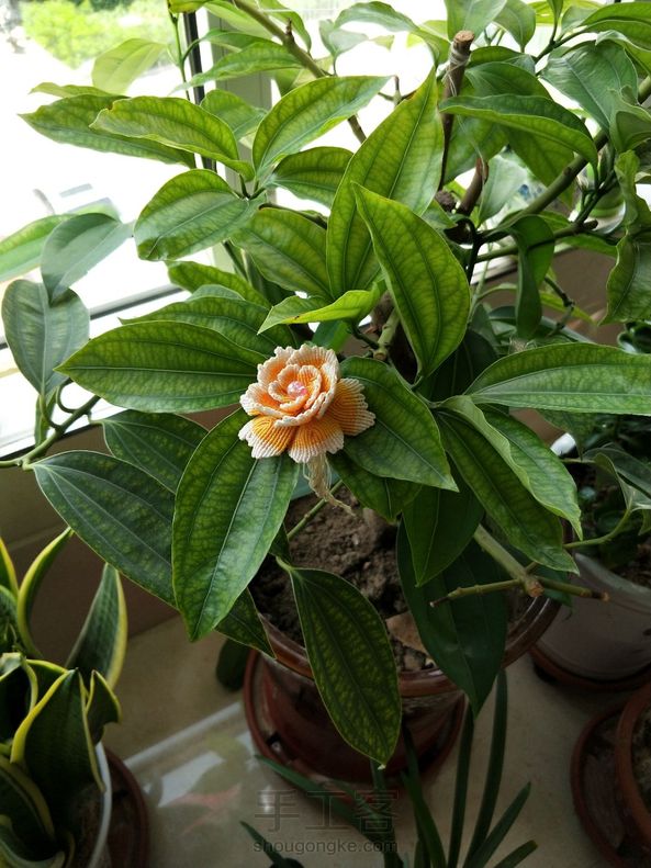 牡丹花…………
还是半成品，不知该做成车挂还是摆饰，大家帮我出出主意喽 第4张