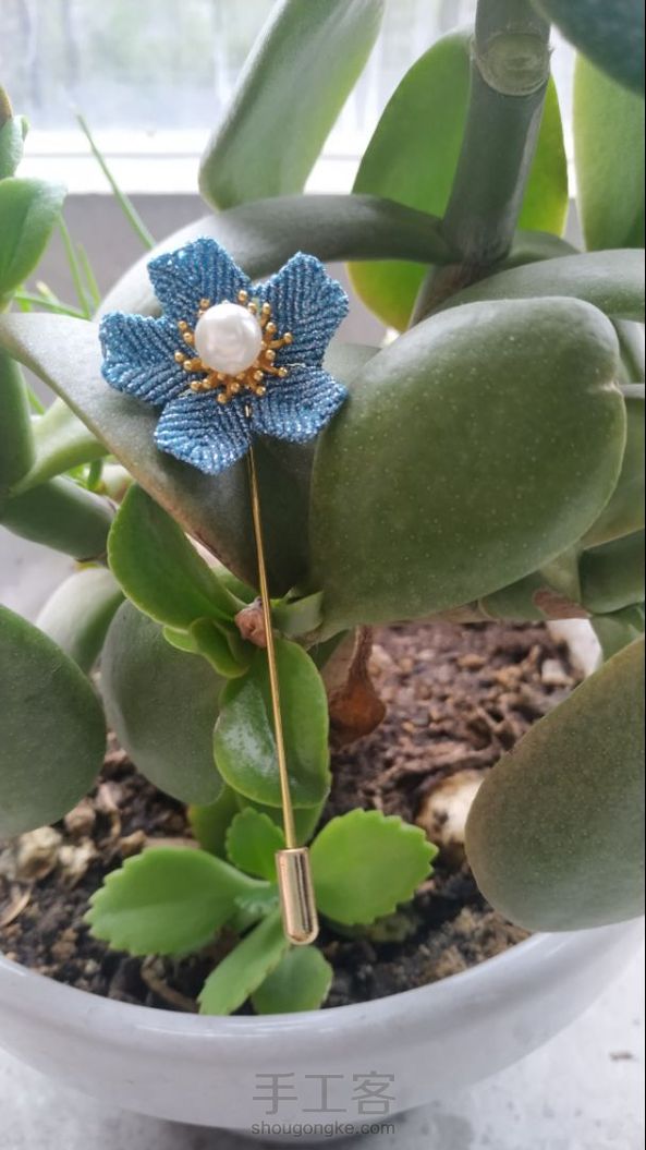 实物明明很好看拍出来就不是一回事，是时间缘故还是拍照技术不行