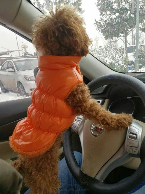 小茶的新衣裳^O^竟然过年新衣都脱到过年前几天才准备！最后家里两只小萌宝凑图～ 第8张