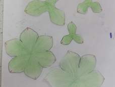 交个作业😬没有丸棒 全部都是用隐形眼镜的盖子压的😂,不是很好看,但是也算是学会了😉