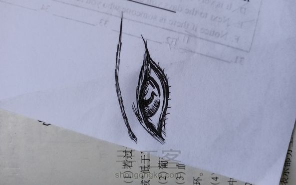 没有感想…