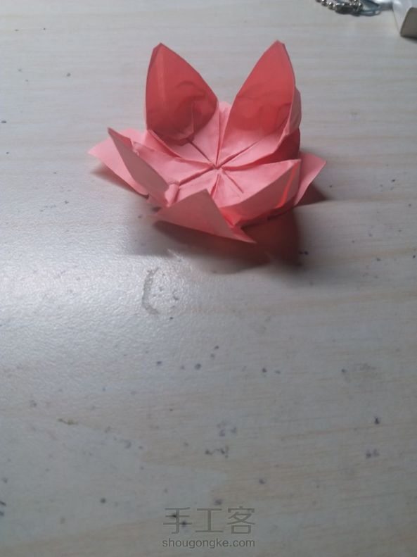 好丑!不说都不知是莲花!