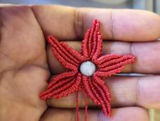 - ̗̀(๑ᵔ⌔ᵔ๑)