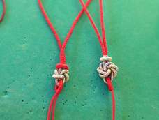 - ̗̀(๑ᵔ⌔ᵔ๑)