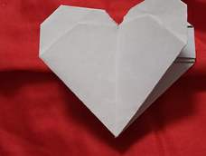 拍得好清楚哦，第一次折