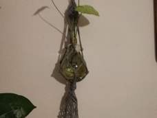 初学者，拆了编，编了拆，还在摸索中