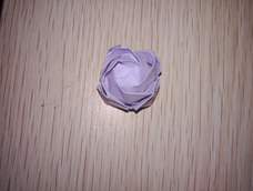 曾敢想我既然会川崎玫瑰了，^_^