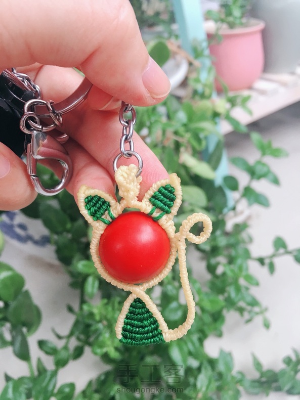 红绿灯款猫咪🐱