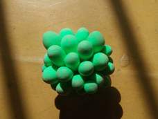 叶子好像有点多