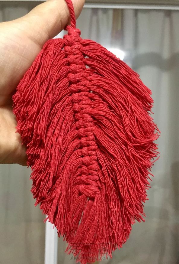 红色羽毛🧚🏻‍♀️🕊🦃正好剩下的线头利用起来
谢谢老师教程