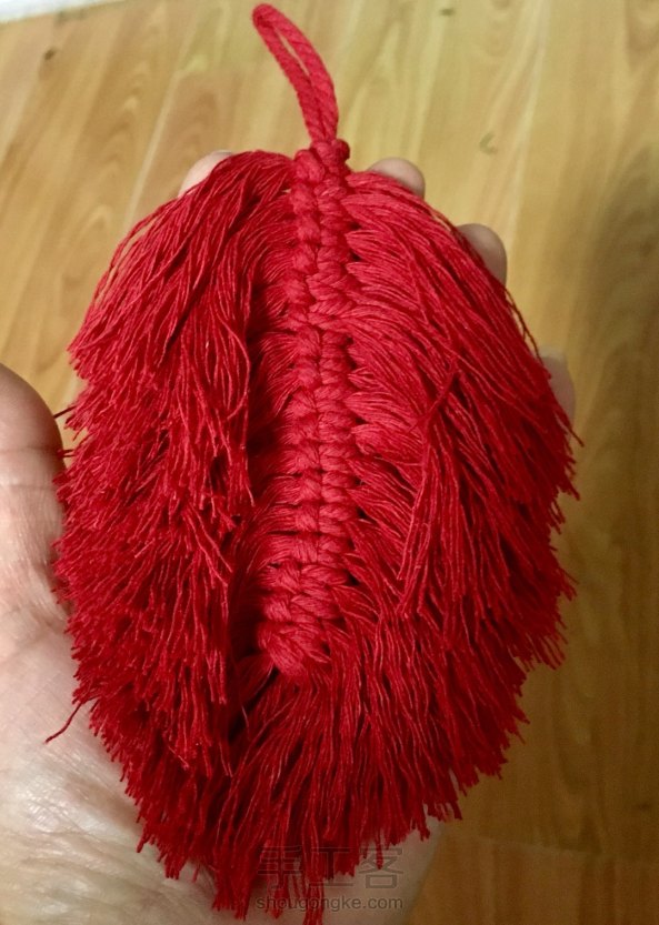 红色羽毛🧚🏻‍♀️🕊🦃正好剩下的线头利用起来
谢谢老师教程 第1张