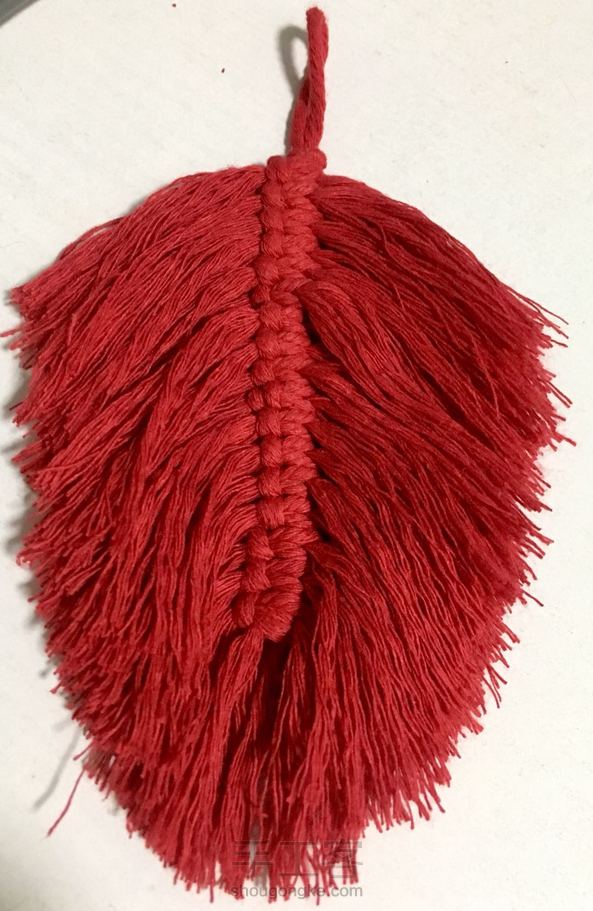 红色羽毛🧚🏻‍♀️🕊🦃正好剩下的线头利用起来
谢谢老师教程 第2张