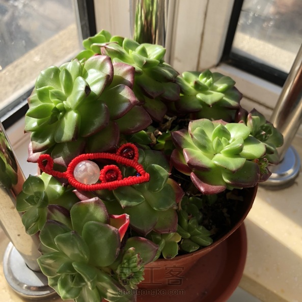 谢谢老师分享教程，鼠年大吉 第1张