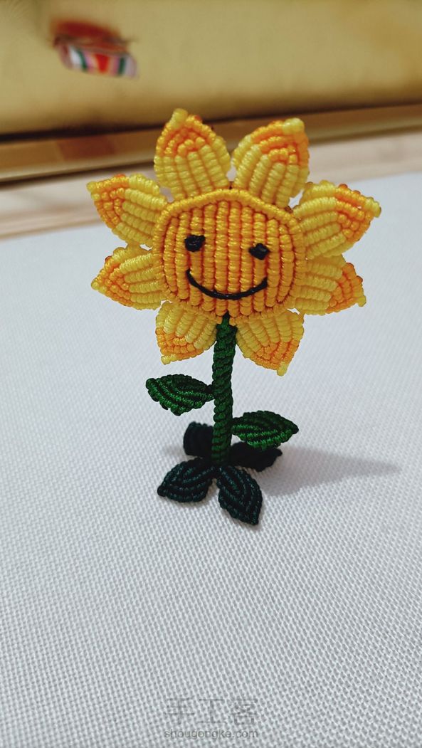 谢谢老师的教程！