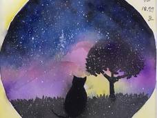 凝望星空的猫