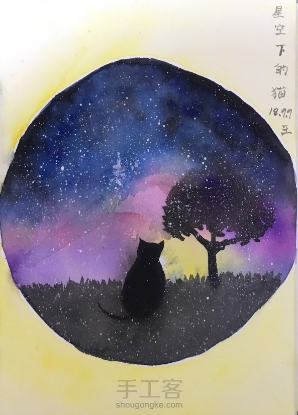 凝望星空的猫