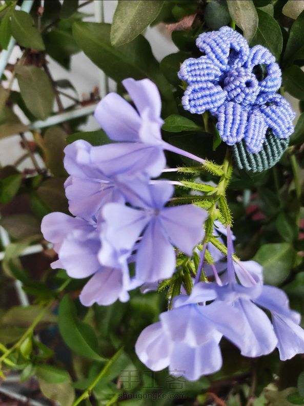 一直钟爱的那一抹蓝…