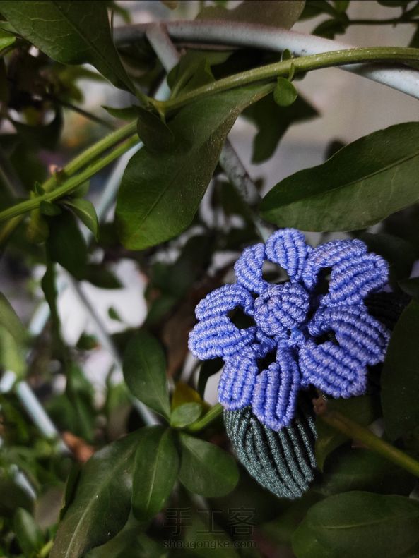 一直钟爱的那一抹蓝… 第2张