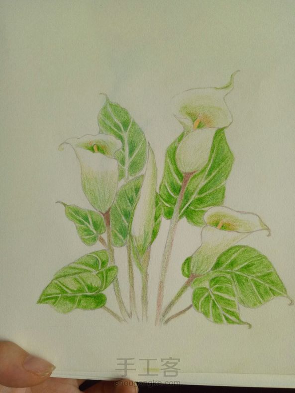 谢谢老师提供步骤，我参照画了一幅！