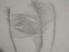 我信了，楼主的邪