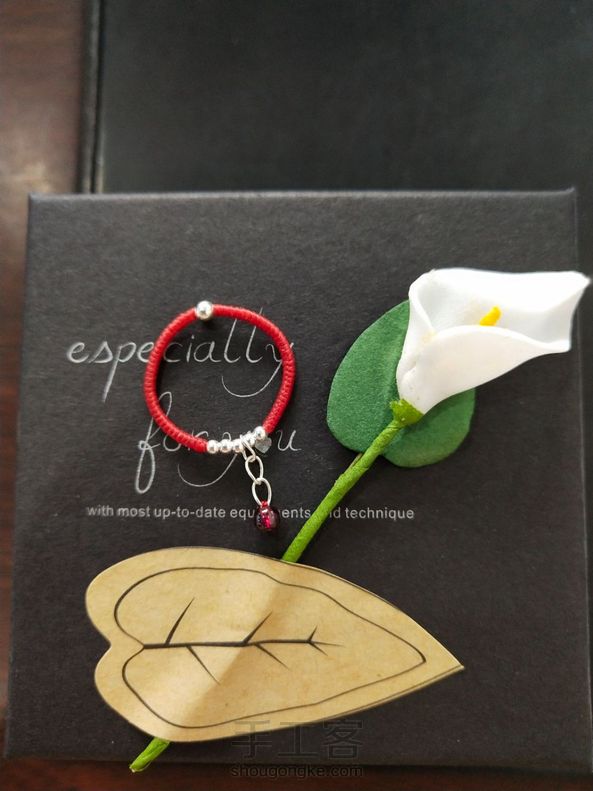 谢谢教程分享，我的也成了 第1张