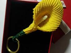 马蹄莲，交作业😬️😬️😬️
感谢杰哥的教程