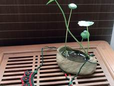 大爱！再次感谢！