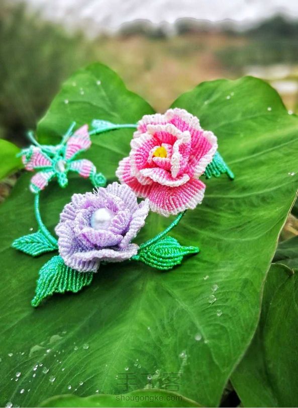 蝶恋花 第3张