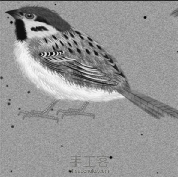 这纸...是我妈给我的...也不知道是哪来的，凑合着画吧