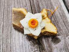 交作业，谢谢教程！